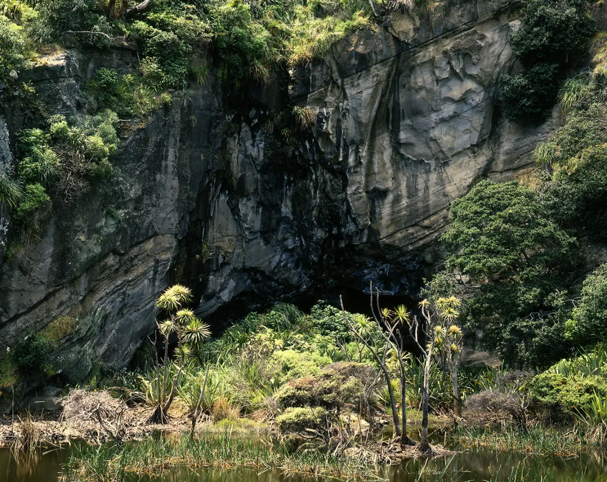Swamp and cave