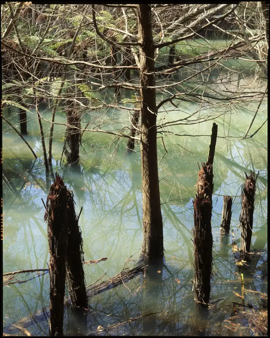 Flooded lagoon