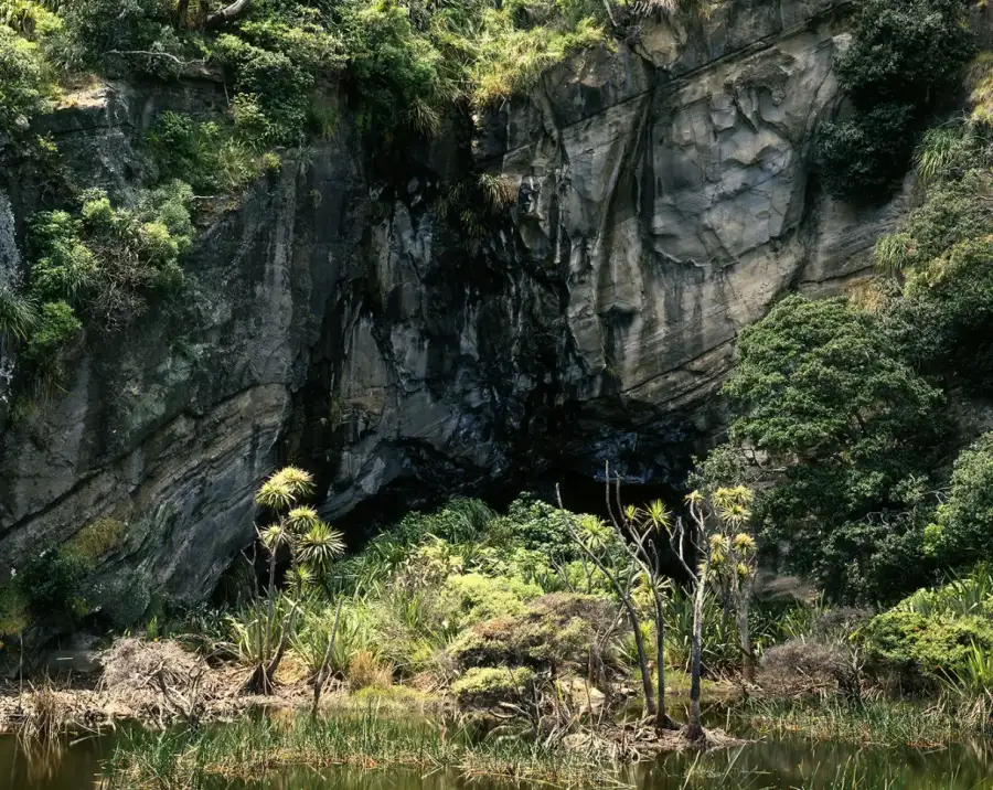 Swamp and cave