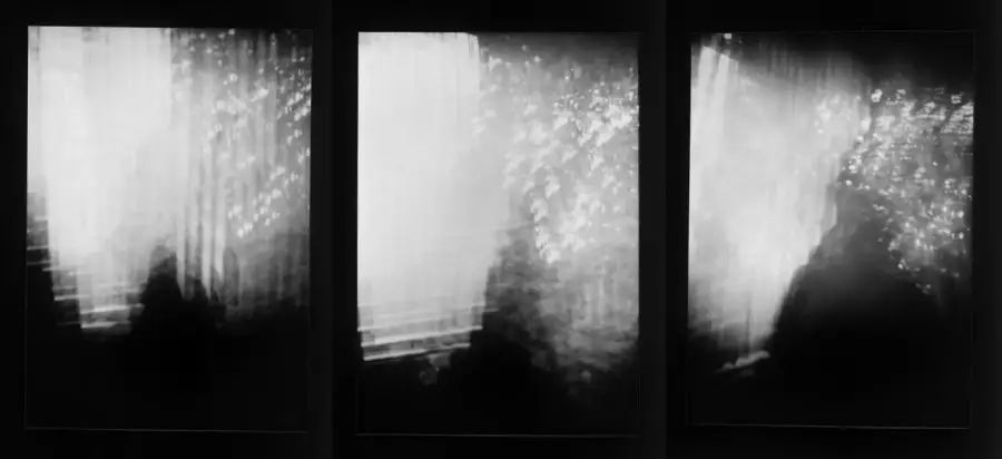 Borer self portrait series