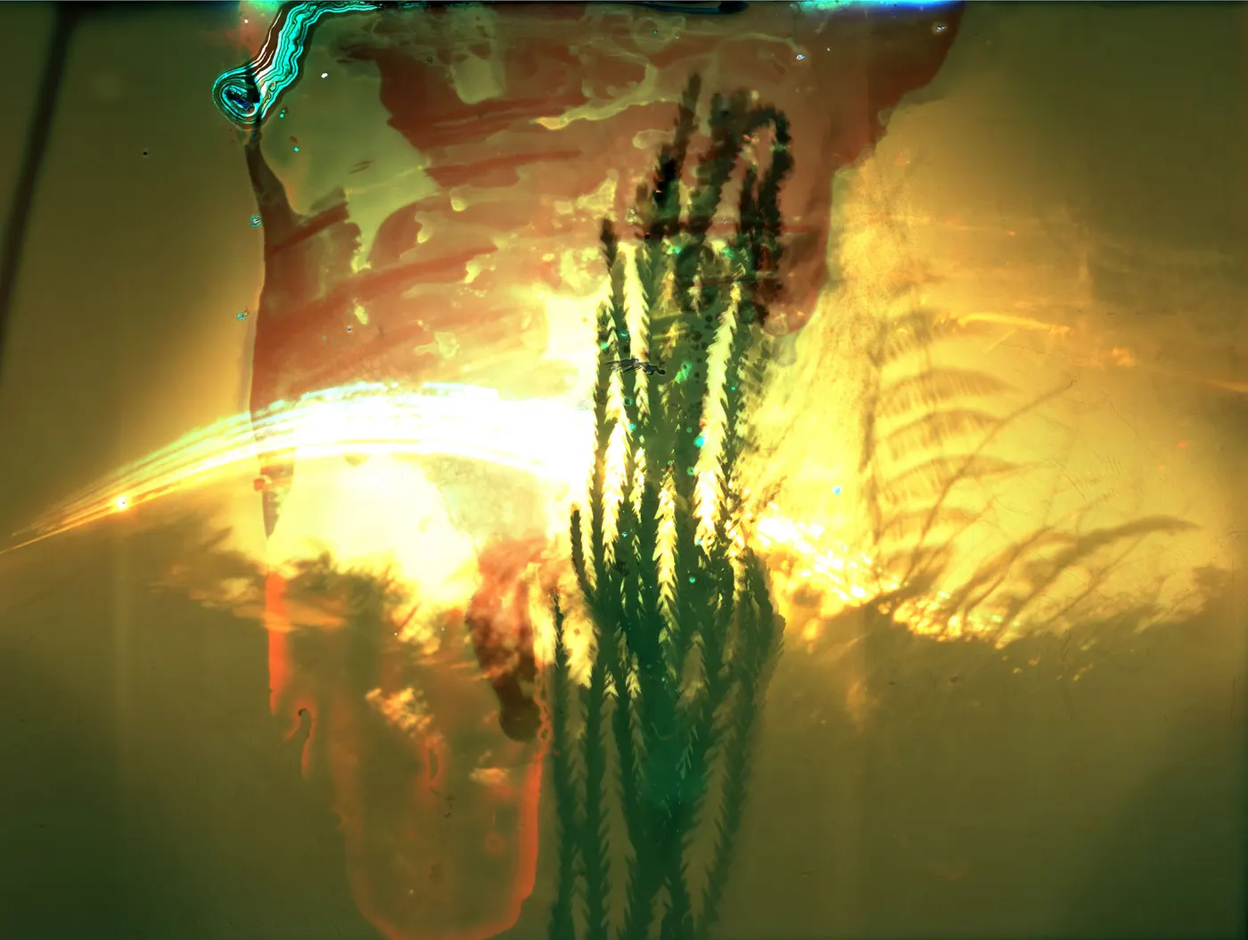 Slow Burn